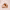 https://res.cloudinary.com/billionhands/image/upload/v1770833042/items/fji11w5ga0fhfm7ipftg.jpg-3cover