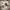 https://res.cloudinary.com/billionhands/image/upload/v1770833047/items/ge6h5kvcrrz5eljo5qlm.jpg-1cover