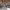 https://res.cloudinary.com/billionhands/image/upload/v1770833050/items/qxfsrb4dz8vqztmwdv28.png-2cover