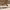 https://res.cloudinary.com/billionhands/image/upload/v1770833079/items/pqngg9jpxyimnobxqpnr.jpg-0cover