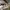https://res.cloudinary.com/billionhands/image/upload/v1770833082/items/ftcczrowjtaabgpfktzm.webp-0cover
