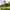 https://res.cloudinary.com/billionhands/image/upload/v1770833092/items/coo76n9j9fu9pgrejpsa.jpg-0cover