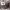 https://res.cloudinary.com/billionhands/image/upload/v1770833114/items/aniwtlfnqyrg2sp9vxsd.jpg-0cover