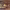 https://res.cloudinary.com/billionhands/image/upload/v1770833121/items/lpcjdk1xqazp72xycmcg.jpg-0cover