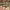 https://res.cloudinary.com/billionhands/image/upload/v1770833122/items/b0hinzfdclvkfcjgmvch.jpg-1cover