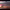 https://res.cloudinary.com/billionhands/image/upload/v1770833124/items/dfndawkqxfhagzrx6hkx.jpg-2cover