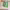 https://res.cloudinary.com/billionhands/image/upload/v1770833128/items/anxtdwncxoiyvkrzqkho.webp-3cover