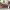 https://res.cloudinary.com/billionhands/image/upload/v1770833135/items/an8xioqywjlnvmzm0vkr.jpg-0cover