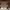 https://res.cloudinary.com/billionhands/image/upload/v1770833172/items/kjeh6b3pvnd37vfvvbvw.jpg-3cover