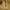 https://res.cloudinary.com/billionhands/image/upload/v1770833185/items/bdjoiyhhv24upyxcvlms.jpg-1cover