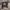 https://res.cloudinary.com/billionhands/image/upload/v1770833212/items/k1dvrzkhhcsbajoox4jw.jpg-1cover