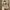 https://res.cloudinary.com/billionhands/image/upload/v1770833267/items/llmzhgmyadwiaqvpaizf.webp-3cover