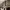 https://res.cloudinary.com/billionhands/image/upload/v1770833306/items/g6x0u7iir0qixmd8u1wa.jpg-2cover