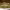 https://res.cloudinary.com/billionhands/image/upload/v1770833308/items/so6vseqkq61bfow2blmp.png-1cover