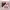 https://res.cloudinary.com/billionhands/image/upload/v1770833389/items/smylo8qqkqr5nvtstdur.jpg-1cover