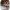 https://res.cloudinary.com/billionhands/image/upload/v1770833393/items/dsbwqndyuhh5rae7hap6.png-1cover