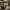 https://res.cloudinary.com/billionhands/image/upload/v1770833434/items/inahpekpahfmr9fs5mjc.jpg-2cover