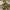 https://res.cloudinary.com/billionhands/image/upload/v1770833456/items/ub3aofl0e0n7gh9hgsc0.jpg-2cover