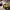 https://res.cloudinary.com/billionhands/image/upload/v1770833465/items/hfueezlzebhesf02gcb9.jpg-3cover