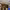 https://res.cloudinary.com/billionhands/image/upload/v1770833477/items/ep2amn2rcyhllen0cuyb.jpg-3cover
