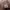 https://res.cloudinary.com/billionhands/image/upload/v1770833483/items/cnhxbomlfq98za5ammg5.jpg-1cover