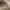https://res.cloudinary.com/billionhands/image/upload/v1770833512/items/etluwwnxluvfrs0lhgdm.jpg-2cover