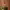 https://res.cloudinary.com/billionhands/image/upload/v1770833519/items/m20tudqh1xqeeth6rl3n.jpg-1cover