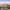 https://res.cloudinary.com/billionhands/image/upload/v1770833544/items/ramxqnrz0cthqgg6wbyi.webp-2cover