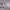 https://res.cloudinary.com/billionhands/image/upload/v1770833548/items/hjfweo4yhdiegd4jpdmo.jpg-1cover