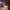 https://res.cloudinary.com/billionhands/image/upload/v1770833554/items/vj3ugdggjoex3jbutwxk.webp-1cover