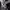 https://res.cloudinary.com/billionhands/image/upload/v1770833577/items/ryi7ipfcf32ulk3y3o8q.jpg-0cover
