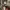 https://res.cloudinary.com/billionhands/image/upload/v1770833630/items/s6jy3ruzzk2u3hkp0bas.jpg-3cover