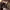 https://res.cloudinary.com/billionhands/image/upload/v1770833634/items/lixmrzapjhjxmidamfo2.jpg-2cover