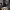 https://res.cloudinary.com/billionhands/image/upload/v1770833640/items/ofuc1v6zukqui3ozhoyf.webp-2cover
