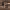 https://res.cloudinary.com/billionhands/image/upload/v1770833660/items/voiwx1ds4ahhpfr2h9kj.avif-0cover