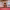 https://res.cloudinary.com/billionhands/image/upload/v1770833667/items/t3bzlpygvws82lkjgkgs.webp-0cover