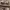 https://res.cloudinary.com/billionhands/image/upload/v1770833682/items/akhesttugr3hyatvdwop.jpg-1cover
