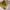 https://res.cloudinary.com/billionhands/image/upload/v1770833749/items/pgdaazccjdywizd7tqmc.jpg-3cover