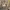 https://res.cloudinary.com/billionhands/image/upload/v1770833767/items/nn7rkidn3cwvkh3jbjba.jpg-1cover