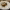 https://res.cloudinary.com/billionhands/image/upload/v1770833788/items/kuujgf8vd3dcwhb9ggax.jpg-1cover