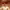 https://res.cloudinary.com/billionhands/image/upload/v1770833795/items/eksyrmu55rd2y7vtb19r.jpg-0cover