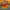 https://res.cloudinary.com/billionhands/image/upload/v1770833800/items/sqt9vj0znznm8w8xqaht.jpg-2cover