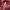 https://res.cloudinary.com/billionhands/image/upload/v1770833825/items/yxatquqgqg6sz8ruzptq.jpg-3cover