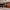 https://res.cloudinary.com/billionhands/image/upload/v1770833852/items/nhsknyqiqcozhsru1gvq.webp-3cover