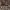 https://res.cloudinary.com/billionhands/image/upload/v1770833885/items/t8yuouj69mpbbytpfeg7.jpg-1cover