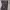 https://res.cloudinary.com/billionhands/image/upload/v1770833886/items/twpvjafaobykr2to0e0f.jpg-3cover