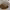 https://res.cloudinary.com/billionhands/image/upload/v1770833888/items/gw1iorxog6mv1yeozj7w.jpg-0cover