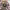 https://res.cloudinary.com/billionhands/image/upload/v1770833896/items/rvb6owr2wpn47m61cp1r.avif-0cover