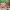 https://res.cloudinary.com/billionhands/image/upload/v1770833897/items/hijjuxa01hijmdwzlggj.jpg-3cover