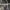https://res.cloudinary.com/billionhands/image/upload/v1770833908/items/gf4xhahwlbbqaevlzpbh.jpg-1cover